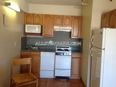 Allston Apartment for rent Studio 1 Bath Boston - $2,100 No Fee