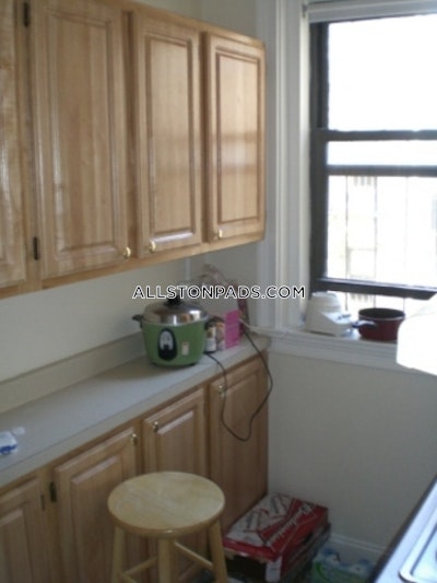 Allston Apartment for rent 1 Bedroom 1 Bath Boston - $2,600 No Fee