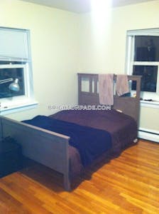 Brighton 2 Beds 1 Bath Boston - $2,950