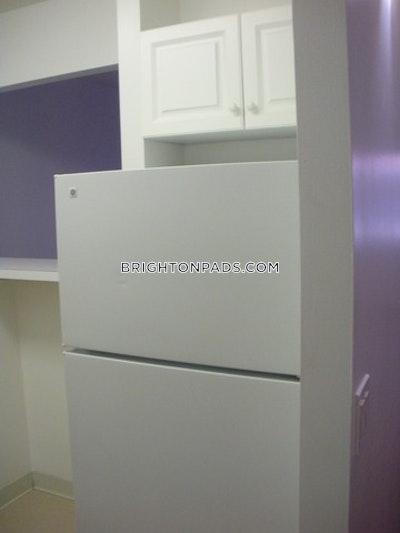 Brighton Apartment for rent 1 Bedroom 1 Bath Boston - $3,225