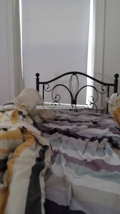Brighton Apartment for rent 1 Bedroom 1 Bath Boston - $2,325 No Fee