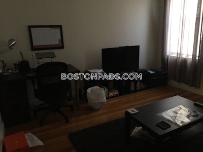 Northeastern/symphony Apartment for rent 1 Bedroom 1 Bath Boston - $3,050 No Fee