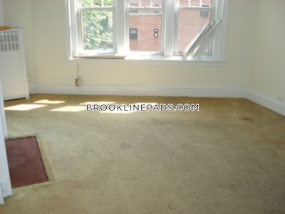 Brookline Apartment for rent 1 Bedroom 1 Bath  Coolidge Corner - $2,550 No Fee