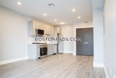 Brighton 1 Bed 1 Bath BOSTON Boston - $3,250 50% Fee