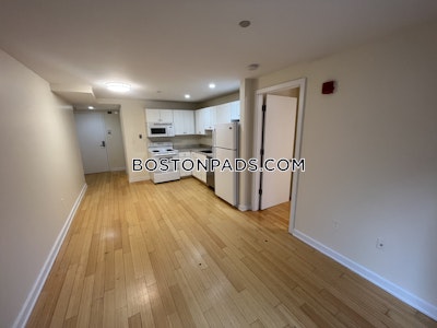 Downtown 1 Bed 1 Bath Boston - $2,995 No Fee