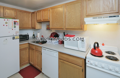 Allston 2 Beds 1 Bath Boston - $2,950 No Fee
