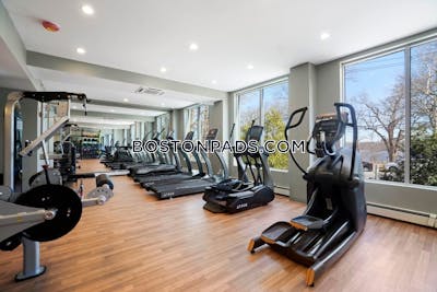 Cambridge 2 Bed 1 Bath CAMBRIDGE  Mt. Auburn/brattle/ Fresh Pond - $4,009