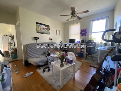 Allston/brighton Border 1 Bed 1 Bath Boston - $2,150