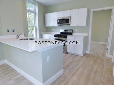 Roxbury 3 Beds 2 Baths Boston - $3,800