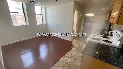 Chinatown 2 Bed 1 Bath BOSTON Boston - $3,300
