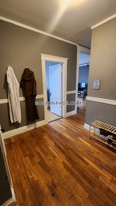 Brighton 1 Bed 1 Bath Boston - $2,350