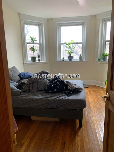 Mission Hill 2 Bed 1 Bath BROOKLINE- BROOKLINE VILLAGE $2,900 Boston - $2,950