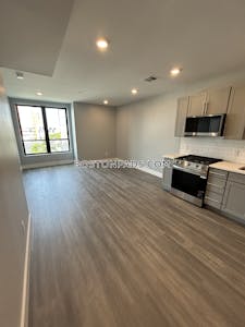 Brighton 1 Bed 1 Bath Boston - $3,250 50% Fee