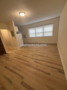 Brighton 1 Bed 1 Bath Boston - $2,700