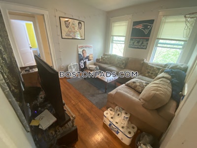 Lower Allston 4 Beds 1 Bath Boston - $3,900 No Fee