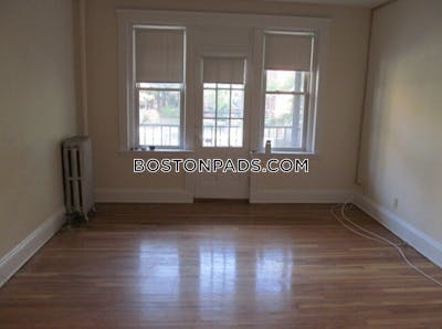 Brighton 1 Bed 1 Bath BOSTON Boston - $2,500 No Fee