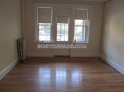 Brighton 1 Bed 1 Bath BOSTON Boston - $2,500 No Fee