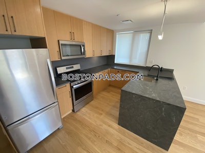 Allston 2 Beds 2 Baths Boston - $4,700 No Fee