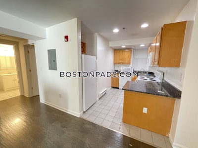 Fenway/kenmore 1 Bed 1 Bath on Park Dr in Boston Boston - $3,100