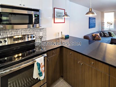 Back Bay 2 Beds 2 Baths Boston - $9,735