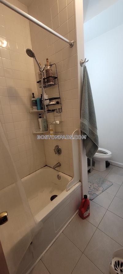 Mission Hill 6 Beds 4 Baths Boston - $8,850