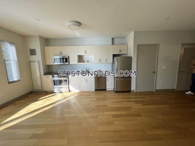 Jamaica Plain Studio 1 Bath Boston - $4,653 No Fee
