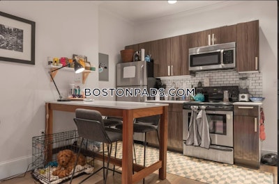 Back Bay 1 Bed 1 Bath BOSTON Boston - $3,300