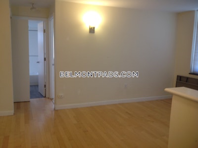 Belmont Apartment for rent 1 Bedroom 1 Bath - $2,150 No Fee