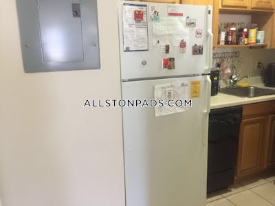 Allston 2 Beds 1 Bath Boston - $3,600