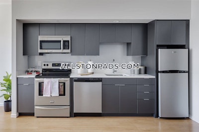 Allston Apartment for rent 1 Bedroom 1 Bath Boston - $4,022