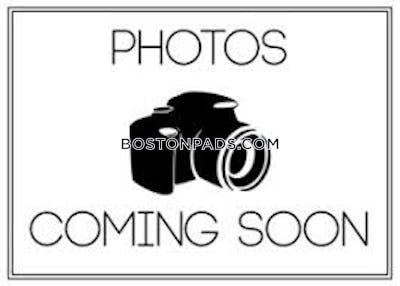Allston/brighton Border Apartment for rent Studio 1 Bath Boston - $2,045 No Fee