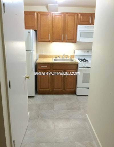 Brighton Apartment for rent 1 Bedroom 1 Bath Boston - $2,500 No Fee