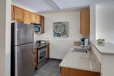 Dorchester Apartment for rent Studio 1 Bath Boston - $5,423 No Fee
