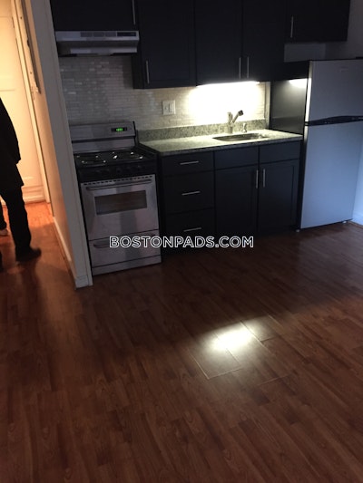 Chinatown Apartment for rent 1 Bedroom 1 Bath Boston - $3,225 No Fee