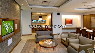 Downtown Apartment for rent 1 Bedroom 1 Bath Boston - $4,227