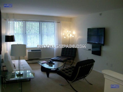 Brookline Apartment for rent 1 Bedroom 1 Bath  Boston University - $2,750 No Fee