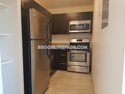 Brookline Apartment for rent 1 Bedroom 1 Bath Boston University - $3,300 No Fee