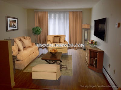Brookline Apartment for rent 1 Bedroom 1 Bath Boston University - $2,800 No Fee