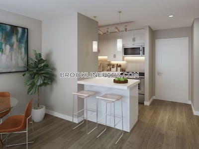 Brookline 1 Bed 1 Bath BROOKLINE- BROOKLINE VILLAGE $3,399  Brookline Village - $3,300