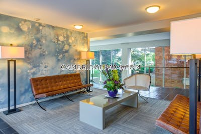 Cambridge Apartment for rent 2 Bedrooms 1 Bath  Kendall Square - $3,795 No Fee