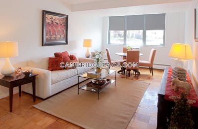 Cambridge Studio 1 Bath  Porter Square - $2,435 No Fee