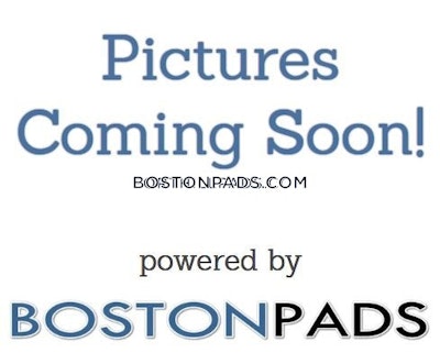 Allston Apartment for rent 3 Bedrooms 2 Baths Boston - $4,200 No Fee