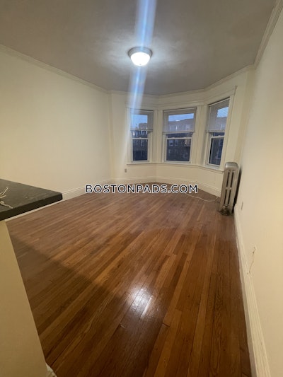 Fenway/kenmore Apartment for rent 1 Bedroom 1 Bath Boston - $2,950