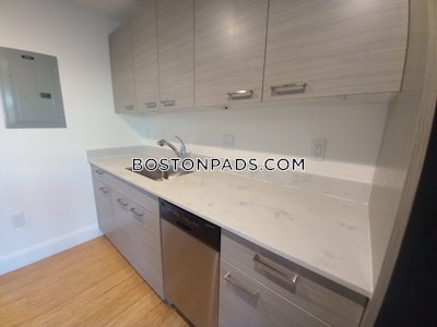 Allston Apartment for rent 2 Bedrooms 2 Baths Boston - $4,300