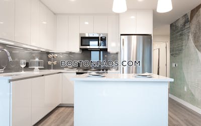 West End Apartment for rent 2 Bedrooms 2 Baths Boston - $11,277