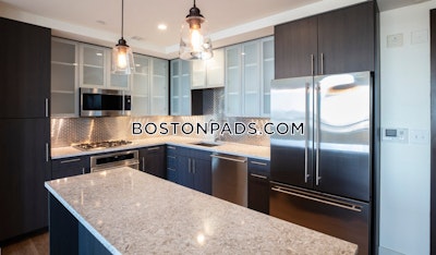 West End Apartment for rent 1 Bedroom 1 Bath Boston - $4,382