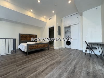 Brookline Apartment for rent 1 Bedroom 1 Bath  Boston University - $3,500