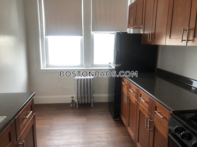 Brighton Apartment for rent 1 Bedroom 1 Bath Boston - $2,595 No Fee