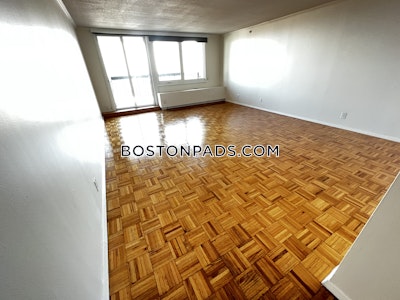 West End Apartment for rent 1 Bedroom 1 Bath Boston - $4,300