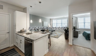 Braintree Apartment for rent Studio 1 Bath - $3,050